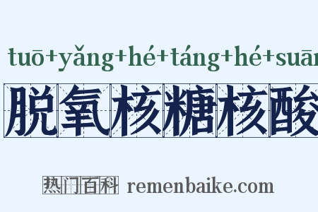脱氧核糖核酸是什么意思的图片